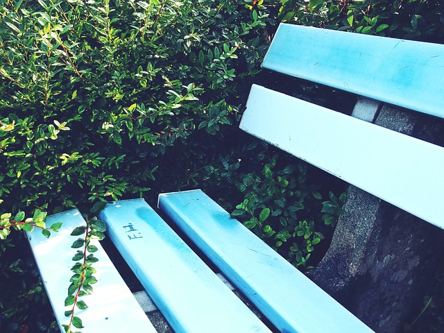 这些荣誉和 这些荣誉和