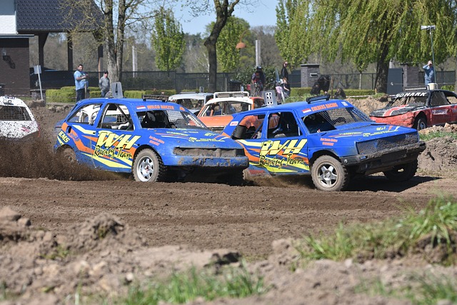 入取得了显 入取得了显