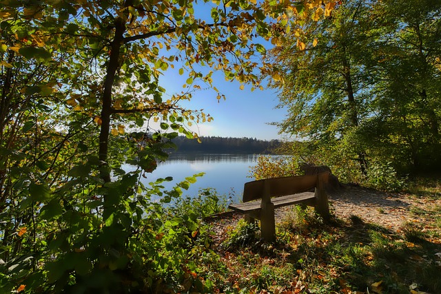 恢复和调节 恢复和调节