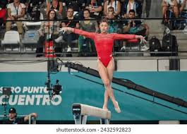 竞技水平与 竞技水平与