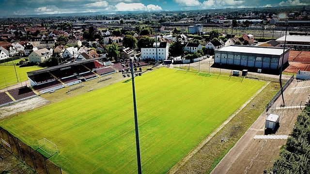 地的比赛之 地的比赛之